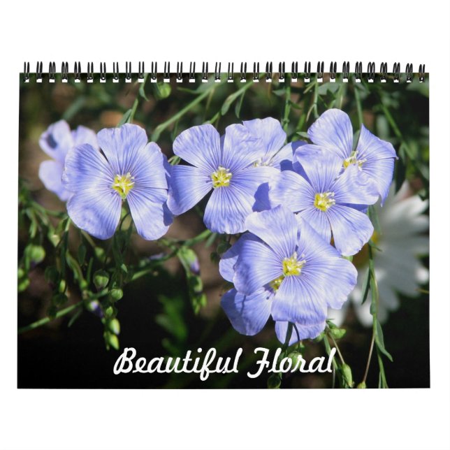 Schöne Blumenmuster Kalender (Titelbild)