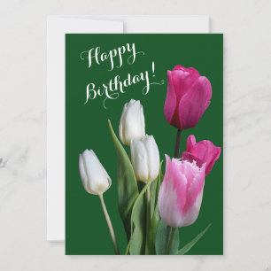 Schöne, blumenweiße Tulpen pink glücklich Geburtst Feiertagskarte