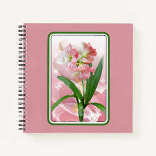 Schöne Blumige Amaryllis Notizbuch