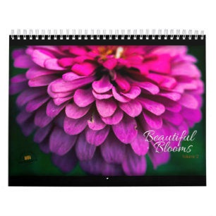 Schöne Blüten Band 2 Kalender