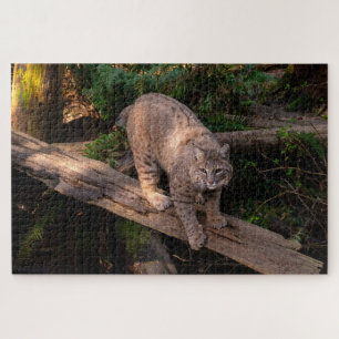 Schöne Bobcat Herausforderung Wildlife Lover Puzzle