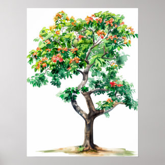 Schöne Bombax Ceiba Tree Wasserfarbe Poster