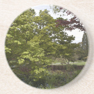 Schöne botanische Garten. Getränkeuntersetzer