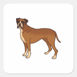 Schöne braune Boxer-Hundrasse-Design Quadratischer Aufkleber