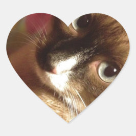 Schöne braune Katze Herz-Aufkleber