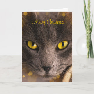 Schöne braune Katze mit goldenem Licht Weihnachten Karte