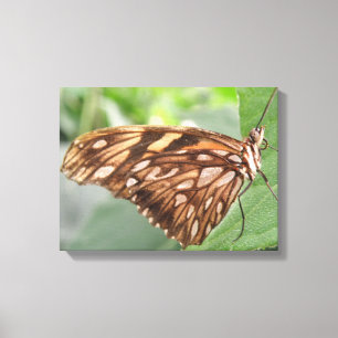 Schöne braune Schmetterling-Leinwanddruck Leinwanddruck