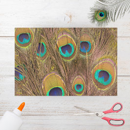 Schöne Brown Peacock Feathers Seidenpapier