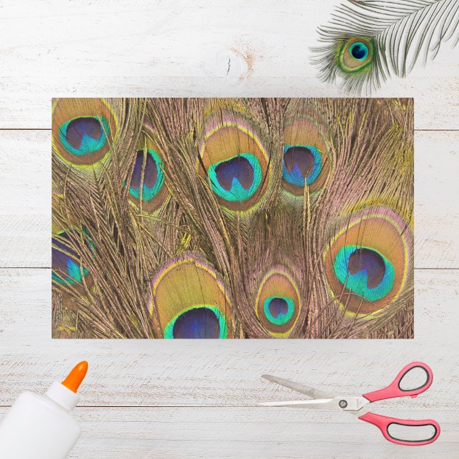 Schöne Brown Peacock Feathers Seidenpapier (Von Creator hochgeladen)