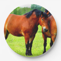Schöne Bucht von Pferden in üppiger grüner Wiese