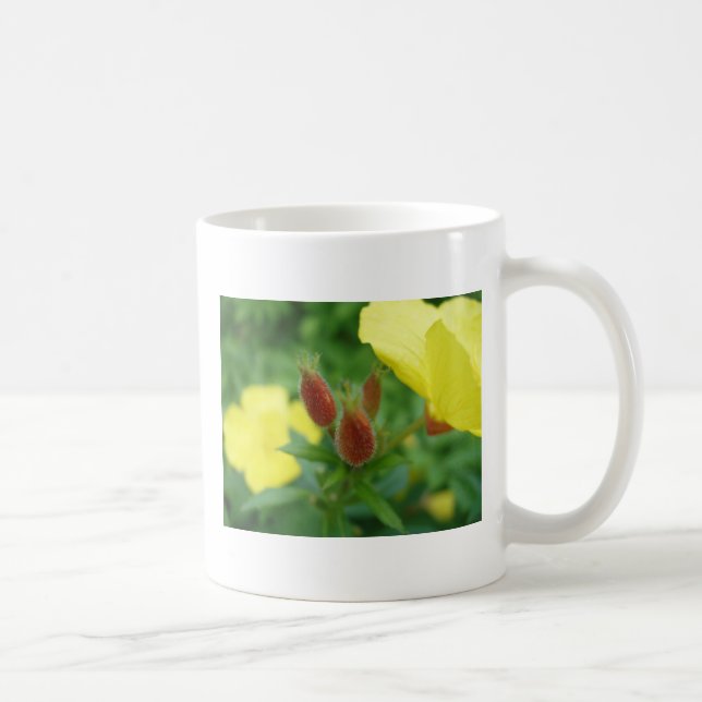 Schöne Budgetierung Blume Tasse (Rechts)