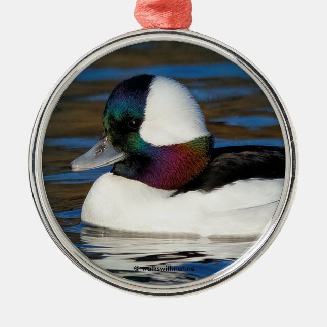 Schöne Bufflehead-Duck am Winterteich Ornament Aus Metall (Vorne)