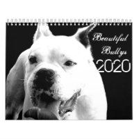 Schöne Bullys 2020 Hundekalender