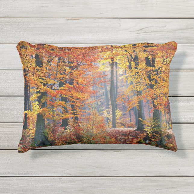 Schöne bunte Herbstwaldsunbeams Kissen Für Draußen (Vorderseite)