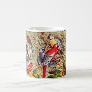 Schöne bunte tropische Vögel Papageien  Kaffeetasse