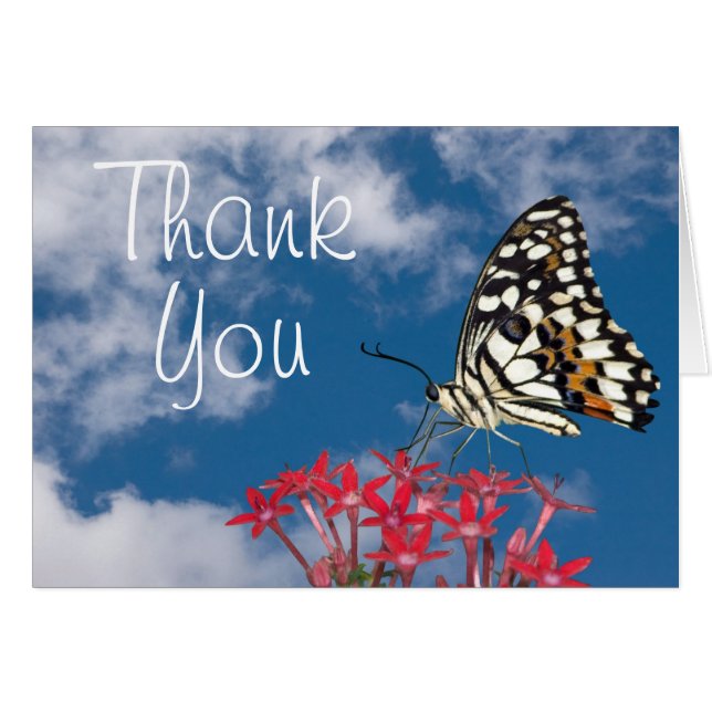 Schöne Butterfly (Vorderseite (Horizontal))