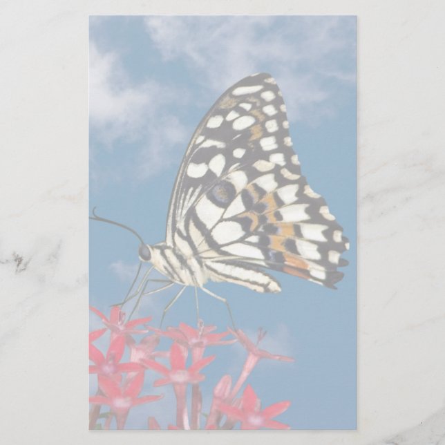 Schöne Butterfly Briefpapier (Vorderseite)