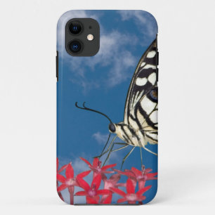 Schöne Butterfly Case-Mate iPhone Hülle