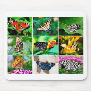 Schöne Butterfly Collage, 9 Fotos Mousepad