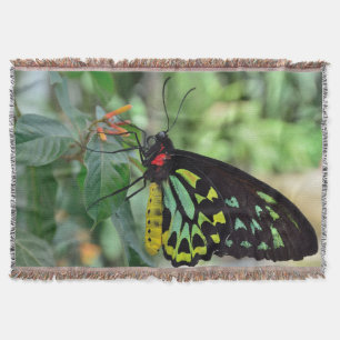 Schöne Butterfly Decke