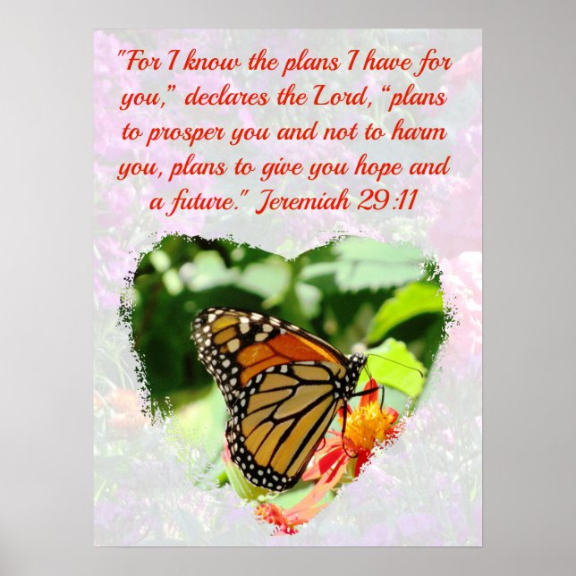 SCHÖNE BUTTERFLY JEREMIAH 29:11 PLÄNE FÜR HOFFNUNG POSTER (Vorne)