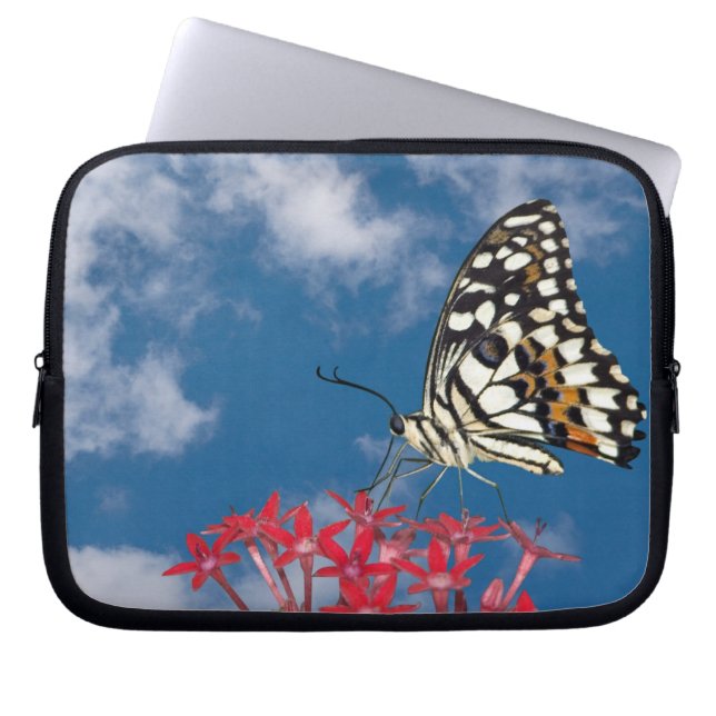 Schöne Butterfly Laptopschutzhülle (Vorderseite)