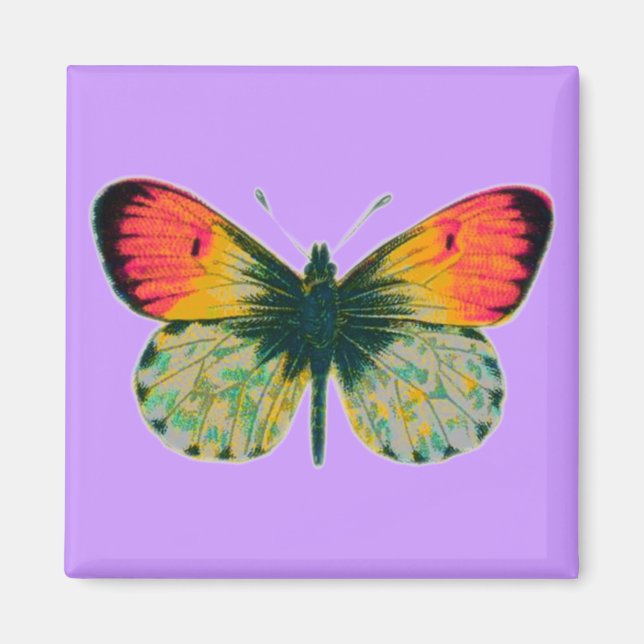 Schöne Butterfly Magnet (Vorne)