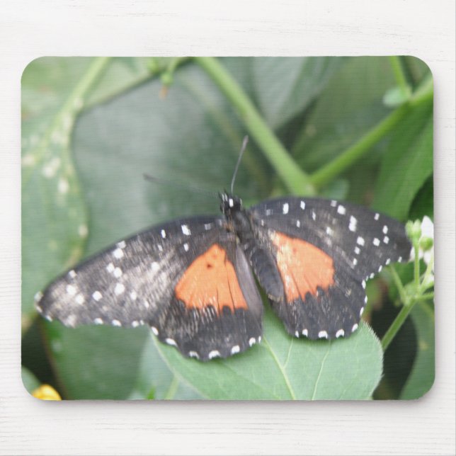 Schöne Butterfly Mousepad (Vorne)