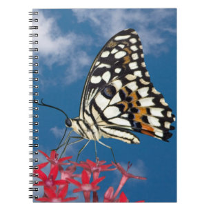 Schöne Butterfly Notizblock