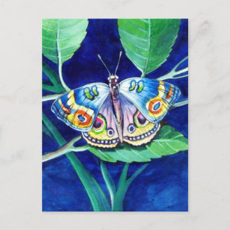 Schöne Butterfly-Postkarte Postkarte