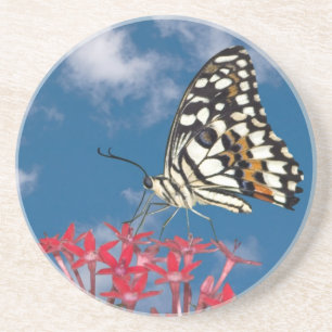 Schöne Butterfly Sandstein Untersetzer