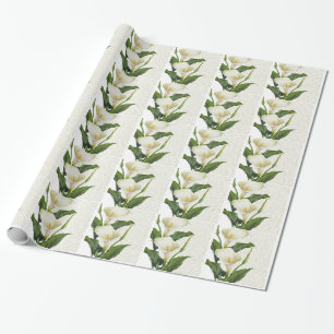 Schöne Calla-Lilien Geschenkpapier