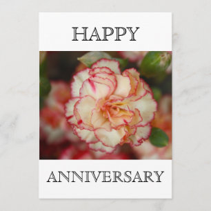 Schöne Carnation Happy Anniversary Karte