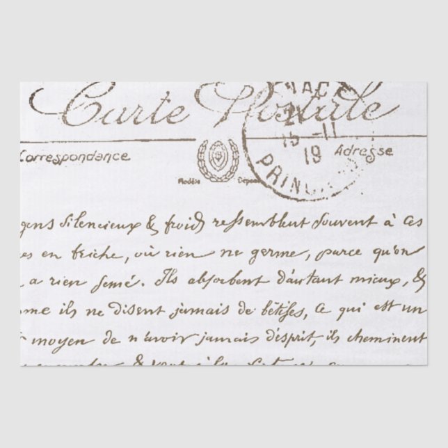 Schöne Carte Postale French Script Tissue Papier (Vorderseite)