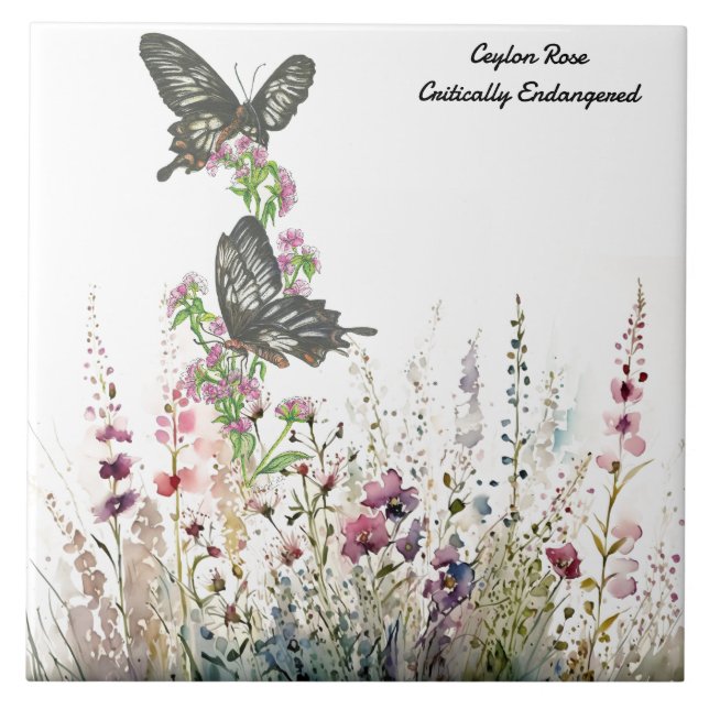 Schöne Ceylon-Rose Handgemalt Butterfly Fliese (Vorderseite)