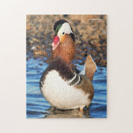 Schöne Chatty Mandarin Duck am Ufer Puzzle