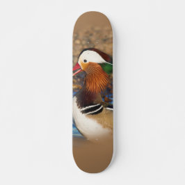 Schöne Chatty Mandarin Duck auf den Felsen Skateboard