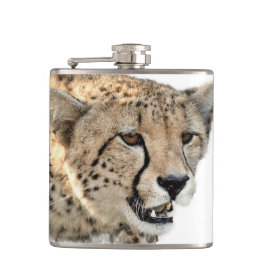 Schöne Cheetah Schönes Cat Foto Flachmann