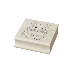 Schöne Chinchilla-Vorderansicht Gummistempel