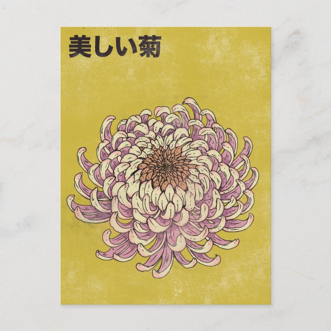 Schöne Chrysantheme Postkarte (Vorderseite)