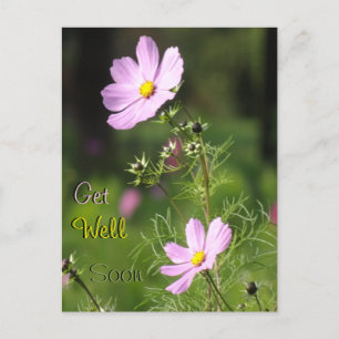 Schöne Cosmea Blume werden bald gut Postkarte
