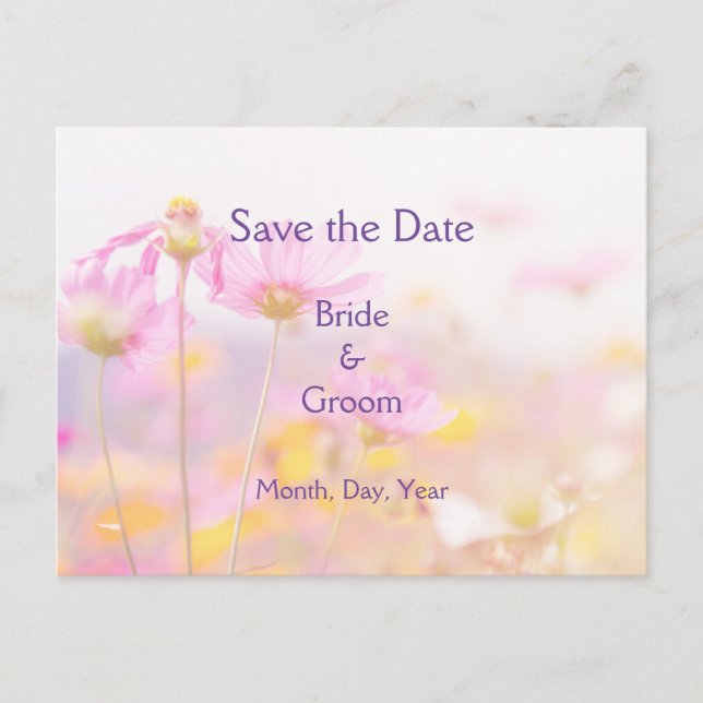 Schöne Cosmos Garden Blume Pink Mauve Lila Ankündigungspostkarte (Vorderseite)