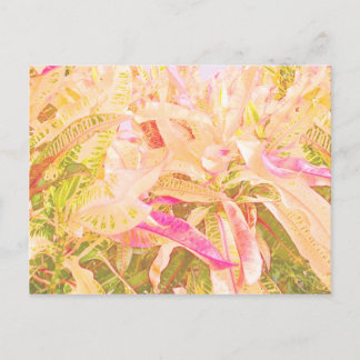 Schöne Croton-Blätter (1) Postkarte