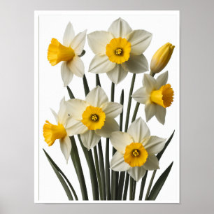 Schöne daffodil Blume Plakatwände Dekoration