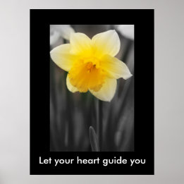 Schöne Daffodil, Value Poster Paper (Matte)