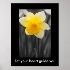 Schöne Daffodil, Value Poster Paper (Matte)