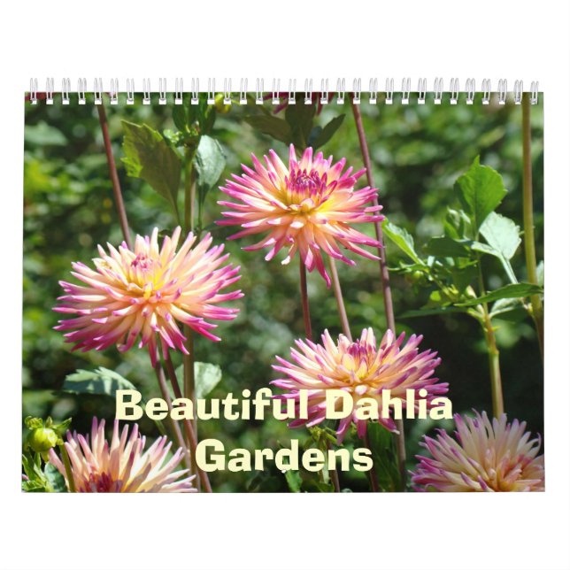 Schöne Dahlia Gardens Kalendars Fotos Kalender (Titelbild)