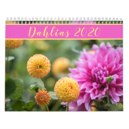 Schöne Dahlias 2020 Kalender