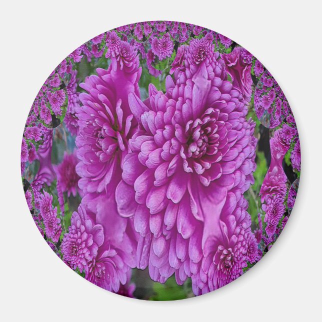 Schöne Dahlias....... Magnet (Vorne)