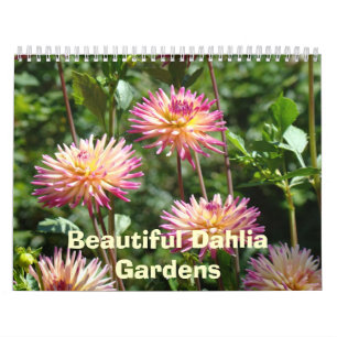 Schöne Dahlie arbeitet Kalender-BlumenFotos im Kalender